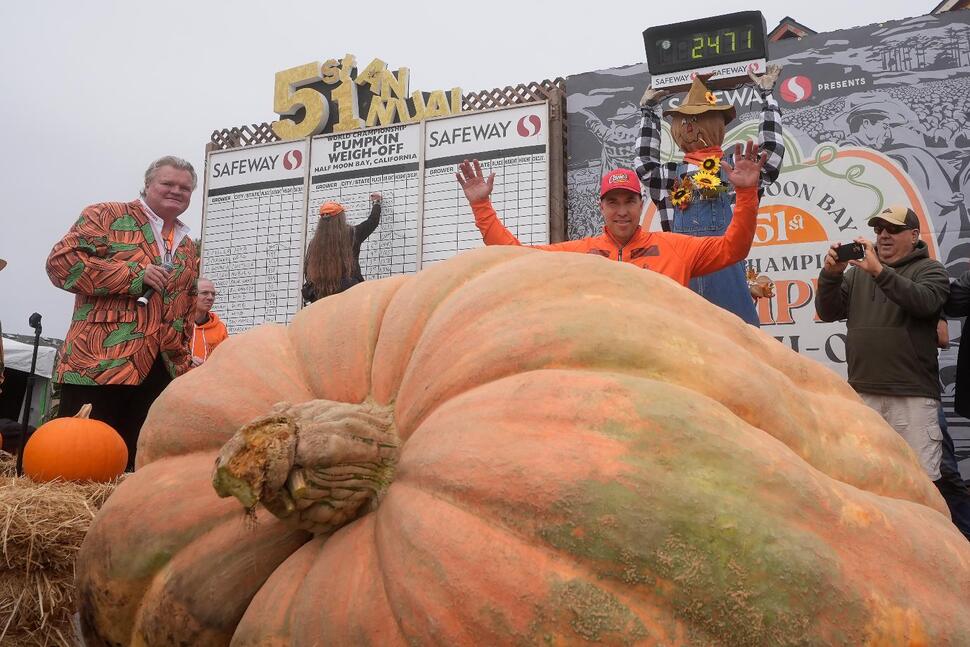 Pumpkin Weighing 2,471 Pounds Wins California Contest