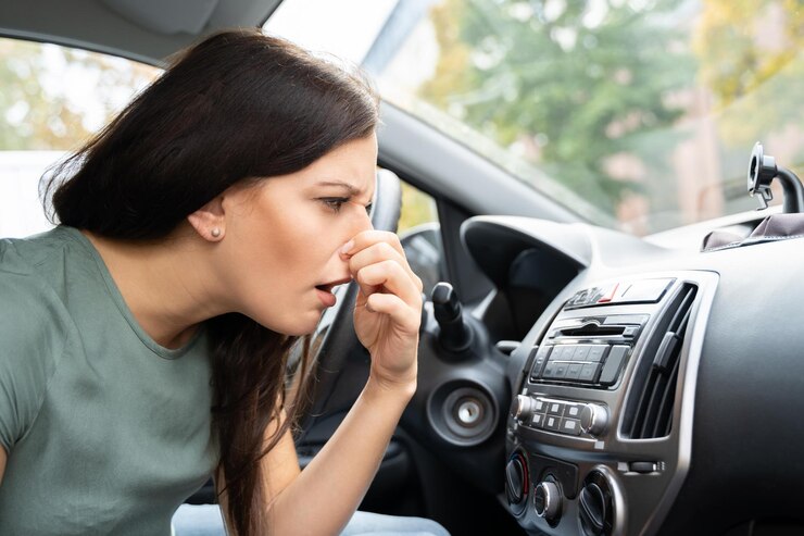 how to remove smell from car